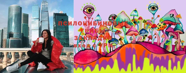ECSTASY Алексин